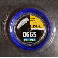 BLANQUEFORT - POSE AVEC BG65 BLEU YONEX