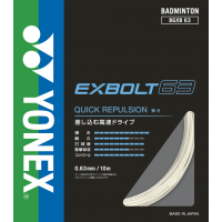 BLANQUEFORT - POSE AVEC EXBOLT 63 BLANC YONEX