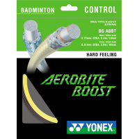 BLANQUEFORT - POSE AVEC AEROBITE BOOST YONEX